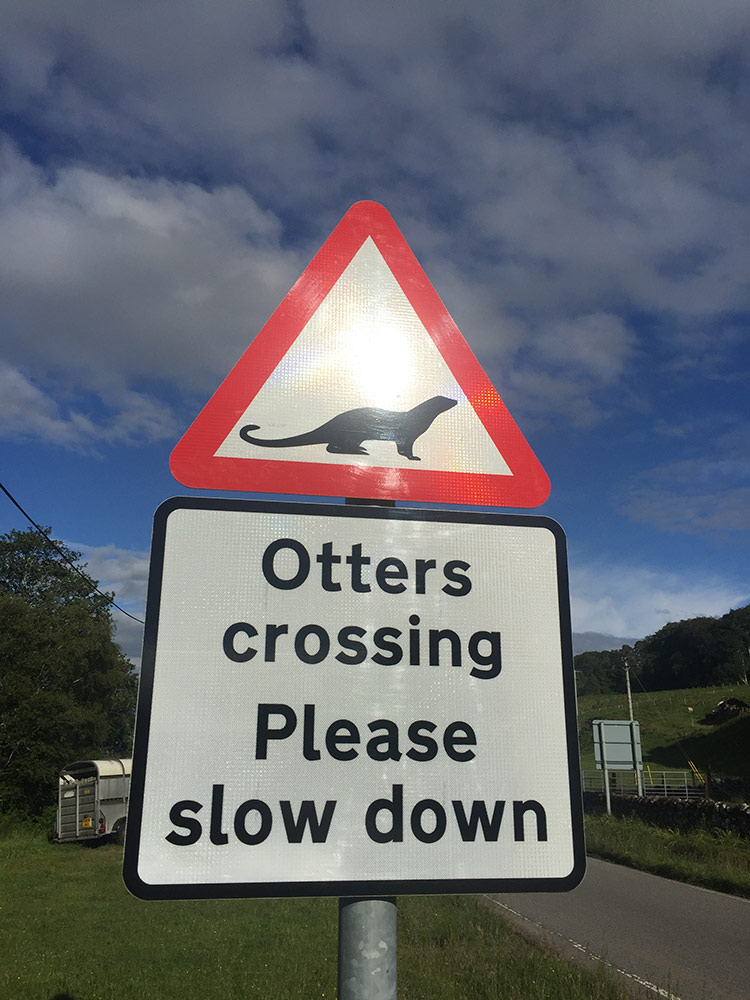 otter sign